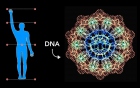 首要“光工作”：激活你身体的DNA潜能